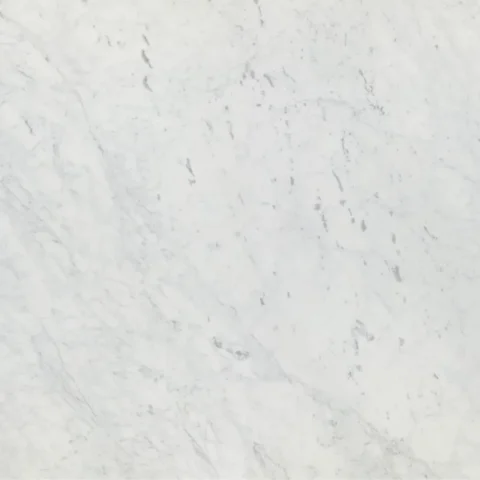 Calacatta close look