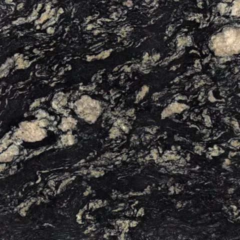 Indian Black close look