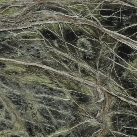 Rain Forest Green close look