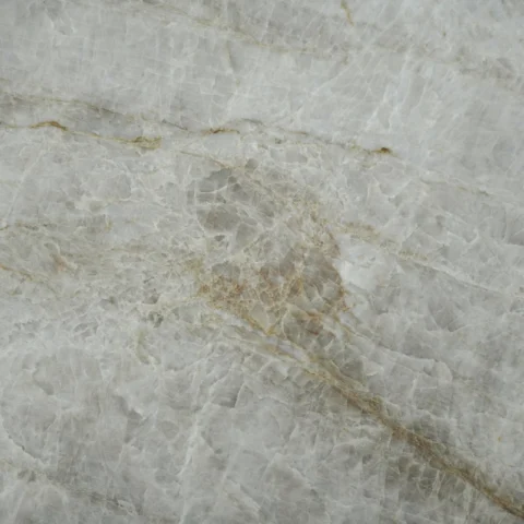 Taj Mahal Close Up
