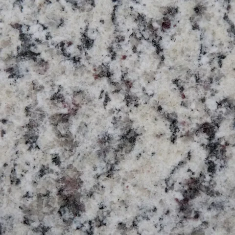 White Napoli close look