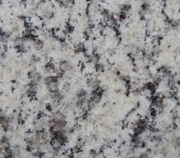 White Napoli close look