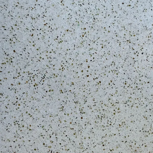 Bone