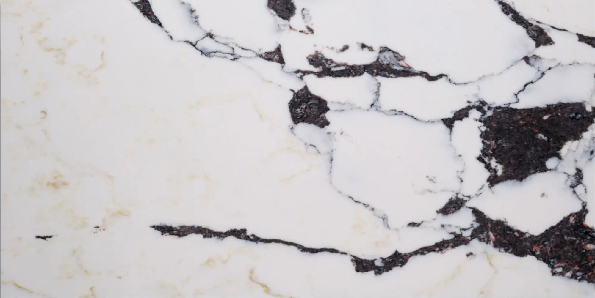 Viola Lusso Slab Picture