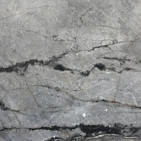 Silver Root Close Lookup