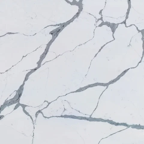 Classic Calacatta lookup