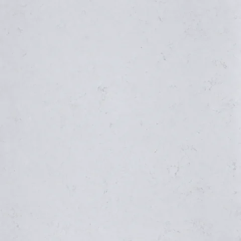 Lush Carrara- Slab Close up