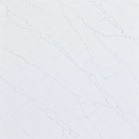 Princess White- Slab Close Lookup