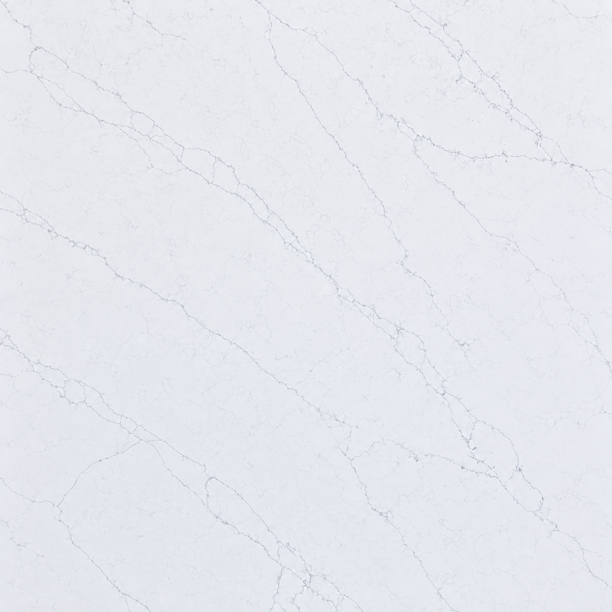 Princess White- Slab Close Lookup