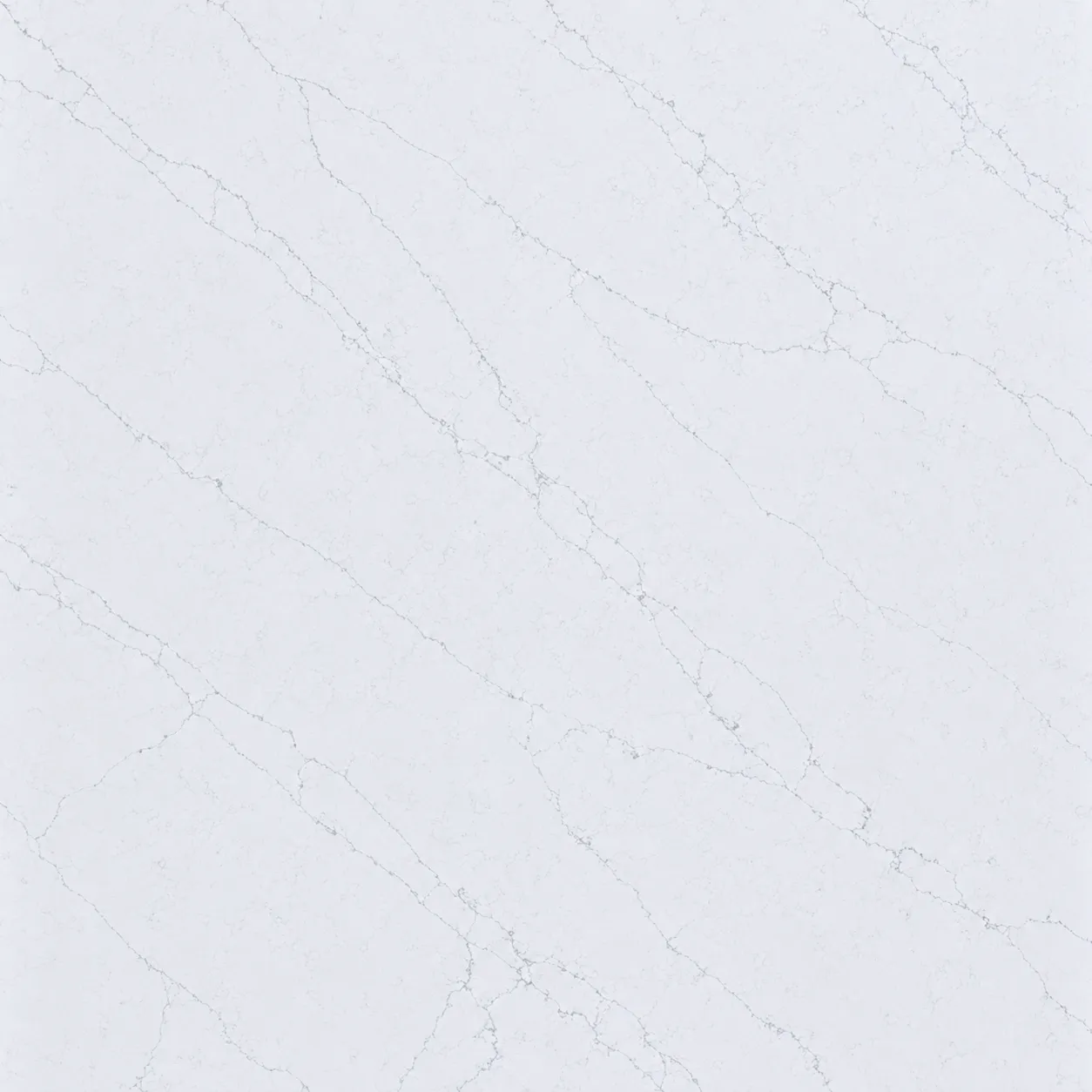 Princess White- Slab Close Up